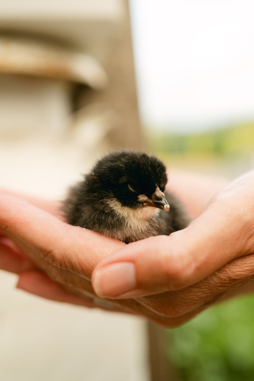 #95: Protected By Wisdom From&nbsp;Above