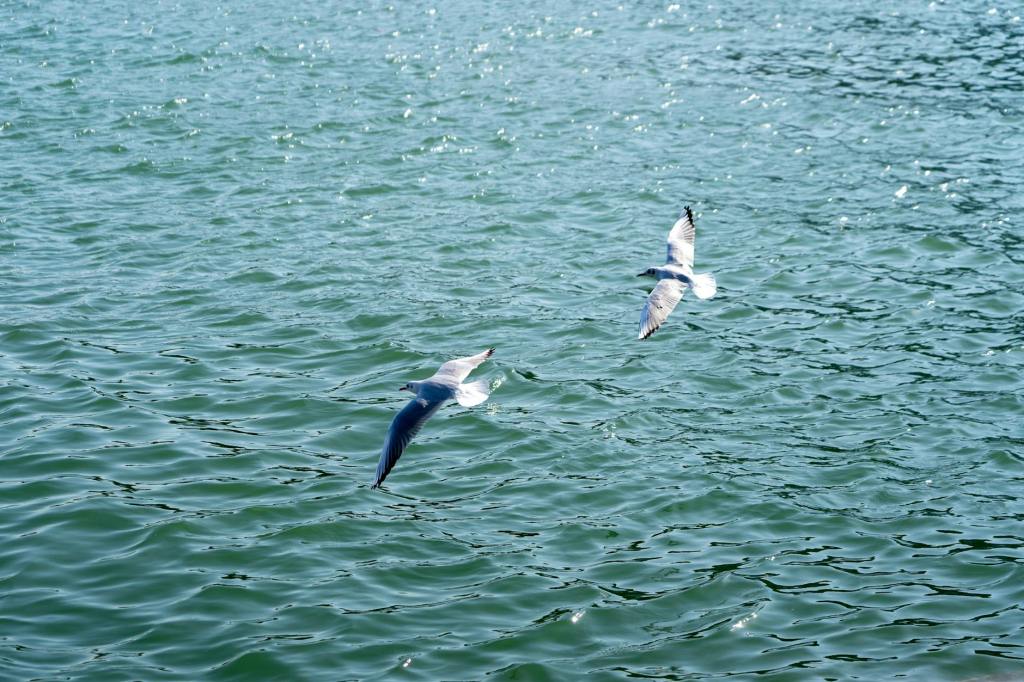 #96: Liberty From Fear And&nbsp;Obligation